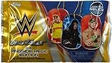 WWE Wrestling 2015 Ringside Relic Edition 2015 Ringside Relics Dog Tags Pack