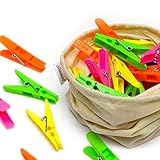 LivingBasics Heavy Duty Rust Free Cloth Peg/Clothes Clip/Cloth Drying Pins/Pegs for Hanger/Rods/Ropes/Drying Clothes (24 Cloth Clip for Cloth Drying Stand) (M012)