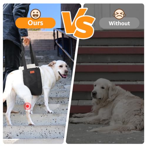Image of Adjustable Dog Sling for Large Dogs Hind Leg Support Weak Legs Mobility Aid