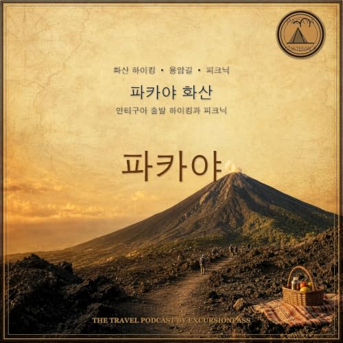 안티구아 과테말라 출발 파카야 화산 하이킹 및 피크닉