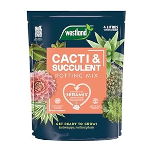 Westland Cacti Potting Mix 4L, Brow...