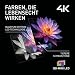 Panasonic TN-55W95C, 4K UHD QD-Mini LED TV, Glare Free Ultra, Google TV