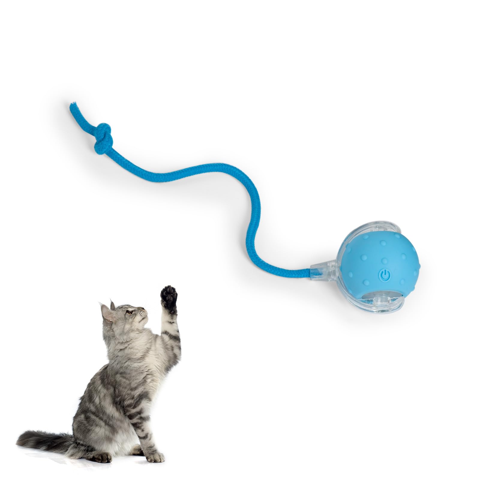 猫のおもちゃ Amazon | 2025年最新アップグレード版 室内猫用 自動で動くボール