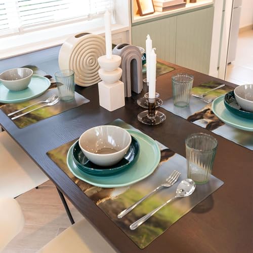 Set de table en lin synthétique résistant à la chaleur lot de 4 lavables - 7