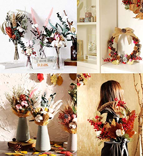 image for BLYNN Real Dried Pressed Leaf Flowers Plant Herbarium for Craft Jewelr