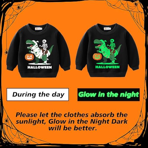 Kids Halloween Sweatshirts Pumpkin Skeleton Pullover Boys Monster Truck Trick or Treat Toddler Tops Halloween Outfits 2T2