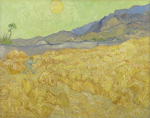 Affiche graffiti Van Gogh pour décorer une chambre - Poster mural artistique 60x90cm