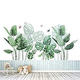 Pegatinas de Pared Planta Tropicales,Planta tropical Hoja de tortuga Etiqueta de la pared,para Dormitorio, Sala de Estar, Comedor, Pared de Fondo de Tv, Pasillo, Oficina, Tienda, Etc (0)