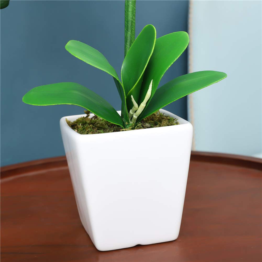 Orquídea Artificial de Seda Phalaenopsis de 15 Pulgadas de Alto (Azul Marino)