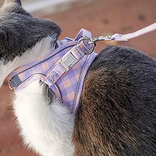 Patgoal Puppy Harness, Cat Harness And Leash For Walking Escape Proof, Small Dog Harness And Leash Set No Pull, Xs Dog Harness With Reflective Strap, Soft Padded Vest Harness For Puppies (M, Purple) #TOP3