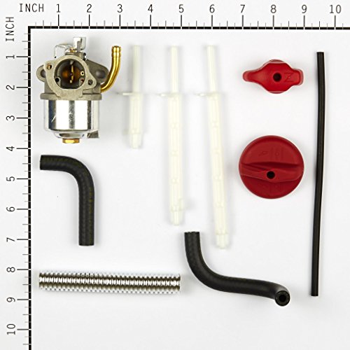 Briggs & Stratton 798917 Carburetor Replaces 794587/791953/791292 #TOP6