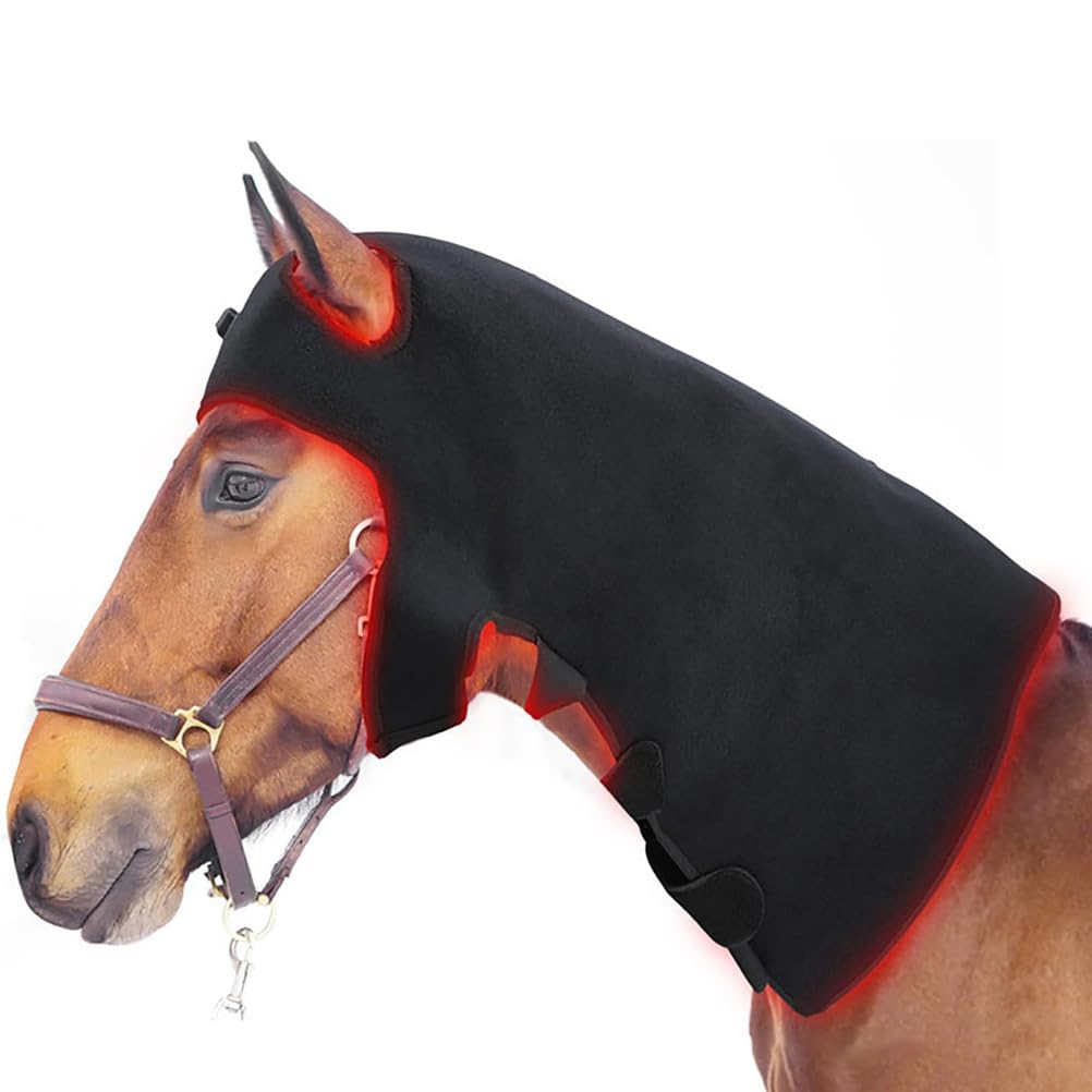 Equipo de terapia luz roja para la relajación y recuperación caballos