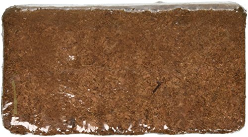 Nature's Footprint 650g Coconut Coir Brick - //coolthings.us