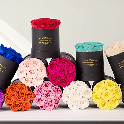 NATROSES 7 Piece Preserved Roses in a Box, Preserved Flowers for Birthday, Flower Gifts for Mothers Day (Hot Pink) - Image 5
