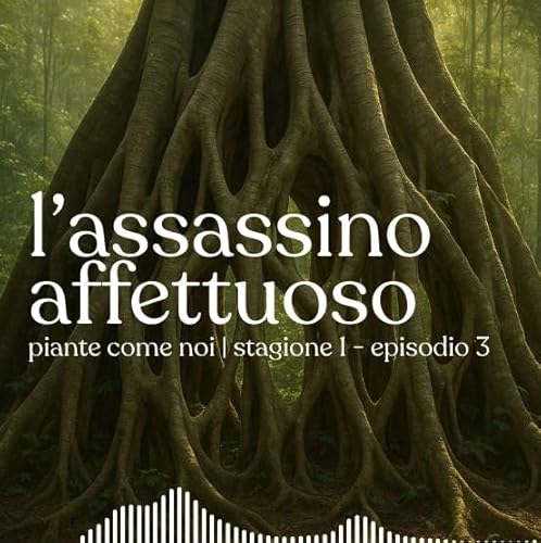 Page de couverture de L'assassino affettuoso - Stagione 1 | Episodio 3