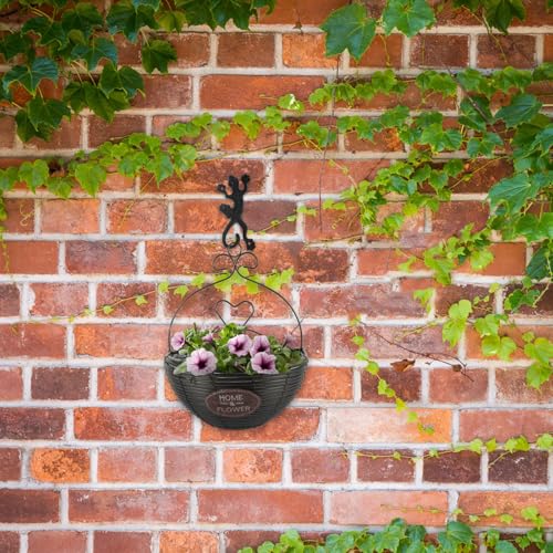 Crochets muraux en fonte de gecko support plantes et serviette extérieur - 5