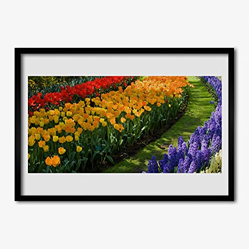 Photo tulipes de jardin de fleurs affiche encadrée 100x70 cm