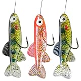  Jenzi Barsch Egli Hegene 160cm 3 Fisch`lis am System MIX 160cm