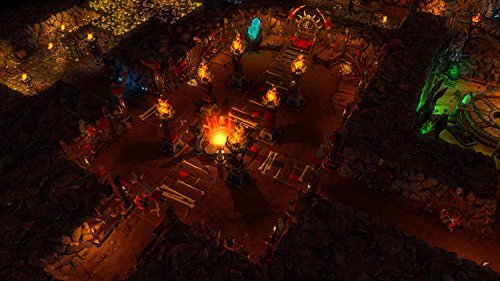 Dungeons 2 - vue 9