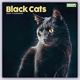  Black Cats – Schwarze Katzen 2023: Original Carousel-Kalender [Mehrsprachig] [Kalender] (Wall-Kalender)