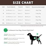 NAMSAN Hunde Windeln 3 Stück Waschbare Schutzhose für Hündinnen Einstellbare Hunde Höschen für Urin Inkontinenz/Untrainierte Welpen/Läufigkeit Hündin - XL