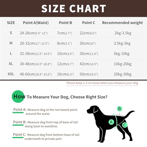 NAMSAN Hunde Windeln 3 Stück Waschbare Schutzhose für Hündinnen Einstellbare Hunde Höschen für Urin Inkontinenz/Untrainierte Welpen/Läufigkeit Hündin - XL