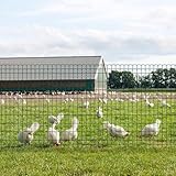 Amagabeli 1M X 25M Gartenzaun Zaun PVC-beschichteter 100 x 50mm 2.1 mm Drahtzaun Maschendraht Wildzaun/Hundezaun Rostfrei Zaunelemente Grünen Maschenweite Drahtgitter Kaninchendraht Forstzaun