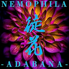 �k�� -ADABANA- / NEMOPHILA
