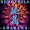 �k�� -ADABANA- / NEMOPHILA