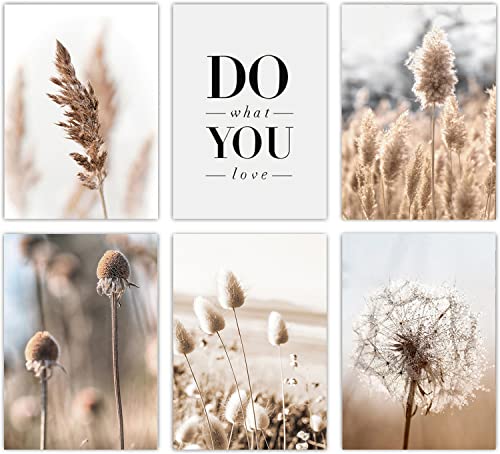 Nature Wall Art Prints Beige Reed Dandelion Grass Posters Natural Wall Art Canvas Painting Nordic Posters And Prints Wall Pictures For Living Room Decor Aesthetic Love Wall Decor Wall Decor Landscape Poster,Set Of 6 (8"X10"Inches,Unframed) #TOP8