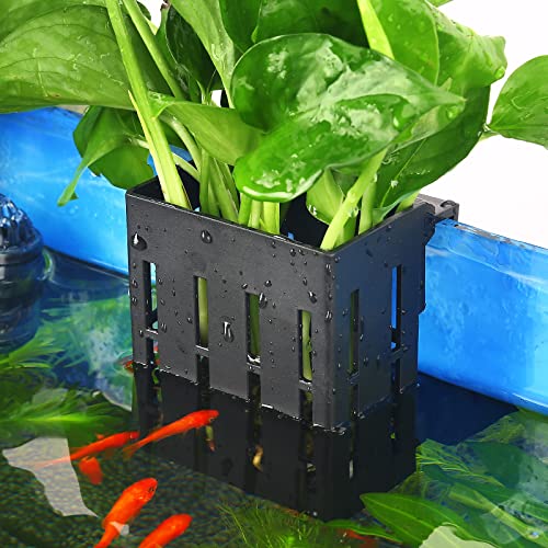 10 Best Plants for Aquaponics (With Pictures)