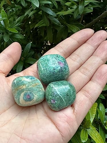 Image of GAF TREASURES 1 /2 LB Ruby Fuchsite Tumbled Stones, Polished Natural Ruby Fuchsite Gemstone, Ruby Fuchsite Healing Crystals (Ruby Fuchsite)