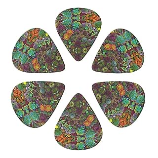 Succulent Lot de 6 médiators pour guitare acoustique, guitare électrique, basse, ukulélé – fin, moyen et épais. - Les Beatles, Paul McCartney, John Lennon, RIngo Starr, George Harrison Succulent Lot de 6 médiators pour guitare acoustique, guitare électrique, basse, ukulélé – fin, moyen et épais. – Image 4