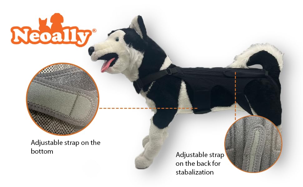 Image of NeoAlly Dog Back Brace for Dogs Arthritis, IVDD, Spinal Surgical Recovery, and Back Disease Prevention (Large)
