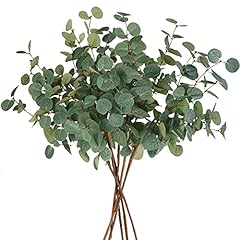 Green Eucalyptus
