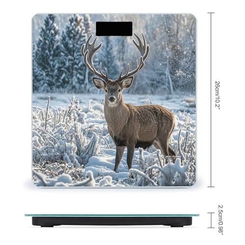 Báscula digital de baño con vidrio templado y pantalla LED miniatura 2