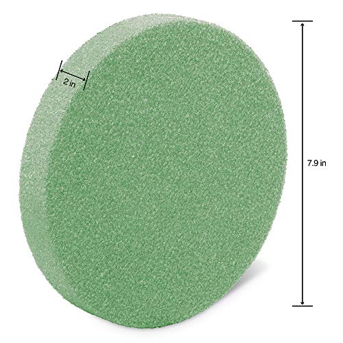 Mousse FloraFōM FloraCraft disque vert support fleur séchée et artificielle