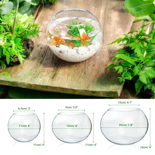 Image of ecofynd Glass Terrarium Bowl, Fish Bowl, Crystal Clear Aquarium Bowl for Fish, Round Bubble Vase for Events, Decorating, Xmas Home Decor, or Office Decor (Pack of 1, 8inch, GB001)