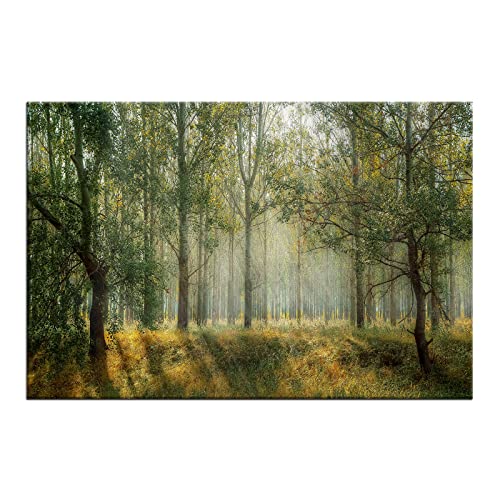 Forest Canvas Wall Art Trees Foggy Morning Spring Landscape Poster 1 Panel Painting Print Modern Home Decor Artwork For Living Room Bedroom Picture Stretched And Framed Ready To Hang [18''W X 12''H] #TOP4