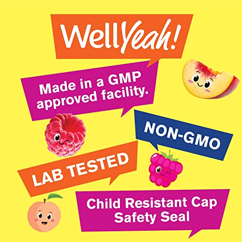 Wellyeah Magnesium Citrate Gummies For Kids (2 Pack) - Chewable Stress Relief Supplement For Children - Natural Calm, Mood Support, Non-Gmo, Gluten Free - Natural Sourced Flavors - 60 Gummies #TOP4