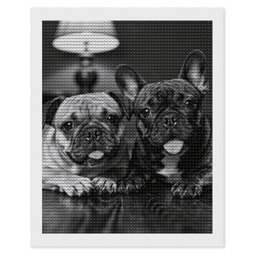 Peinture diamant 5D duo bouledogue français maccbn kit complet adulte loisir