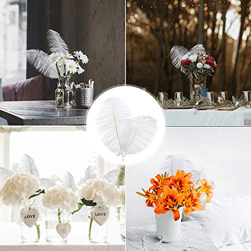 16-18 Inches (40-45Cm) Featured Real Natural Ostrich Feathers Bulk White, Great Decorations For Christmas Halloween Home Party Wedding Centerpieces(White 10Pcs) #TOP6