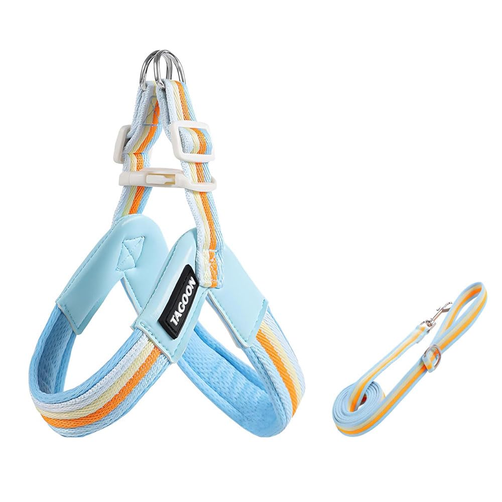 Lhasa Apso Y-shaped harness and leash set, 1.4m lightweight anti-pull harness, soft padding blue S