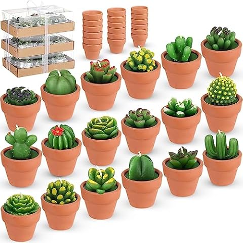 Cactus Tea Light Candles with Mini Terracotta Clay Candle Holders Cover
