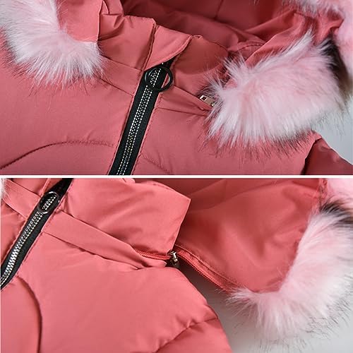 Bruine WITHBLACK Gewatteerde jas WBLGLORIAN LONG PUFFER JACKET Bruine WITHBLACK Gewatteerde jas WBLGLORIAN LONG PUFFER JACKET