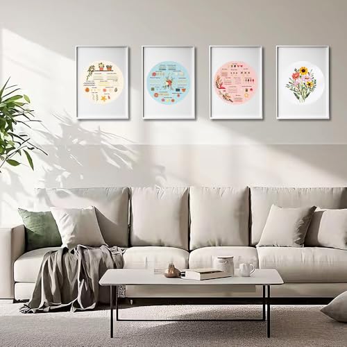 Image of Sutesloly Hand Embroidery Kit for Beginners, 4 Sets Learn to Floral Patterns Simple Beginner Starter kit for Adults, 33 Stitches Easy Embroidery Practice Kit, 7.8inch Hoop, DIY Craft Gift for Women