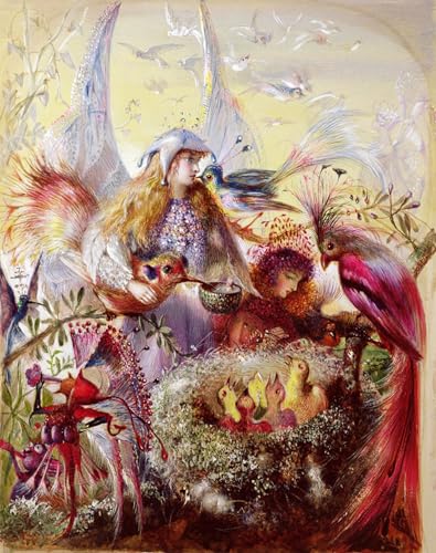 Posters et art pour décoration chambre oiseaux Anster Fitzgerald pour sublimer vos murs de douceur