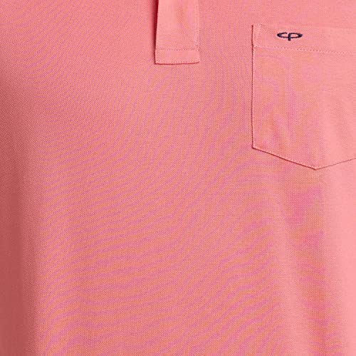 Image of Colorplus Men's Pure Cotton Solid Pattern Classic Fit Polo Neck Half Sleeve Casual T-Shirt