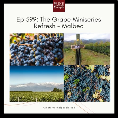 Ep 599: The Grape Miniseries Refresh - Malbec