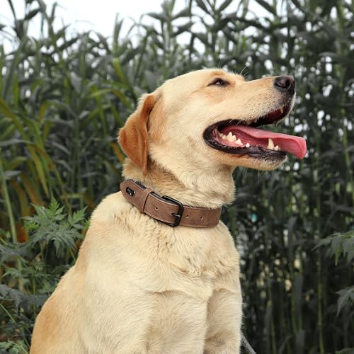Image of Didog Soft PU Leather Dog Collar, Breathable Padded, Brown, Neck 14-18 inch